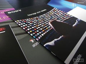 全方位創(chuàng)意服務(wù) 從網(wǎng)頁設(shè)計(jì)到品牌形象的一站式解決方案